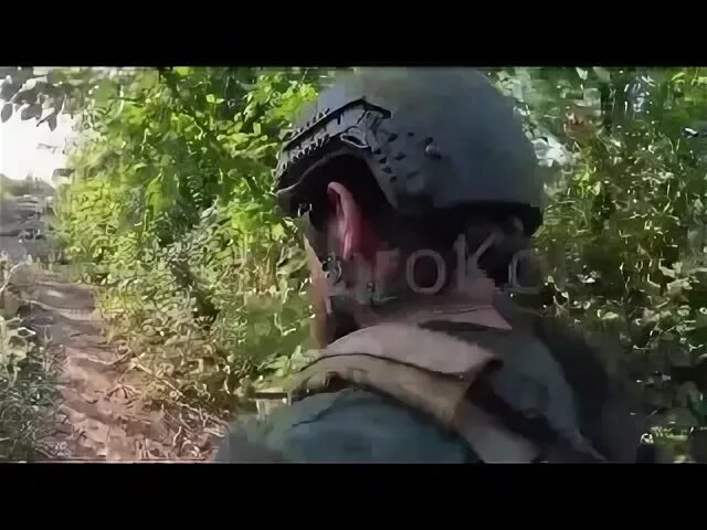 Позывной кит