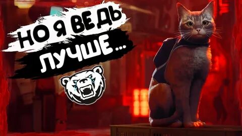 Стрей кот