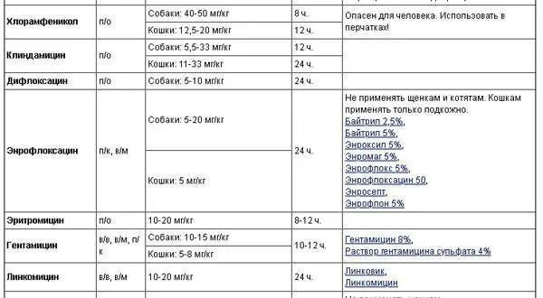 Можно ли давать антибиотик собаке. Дозировка антибиотика для кота. Как рассчитать антибиотик для кошки. Как рассчитать антибиотик для собаки. Как рассчитать дозу антибиотика для кошки.