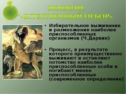 Выживают и оставляют потомство