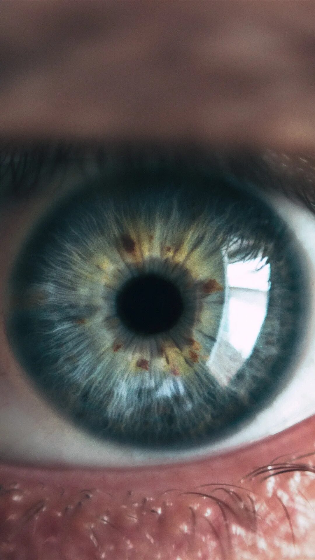 Макро на айфон 13. Макросъемка глаза. Фото глаза. Глаз человека макро. Макросъемка глаза на айфон.
