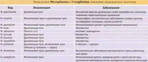 Микоплазмоз у мужчин симптомы. Уреаплазма пути передачи и заражения. Розовые антибиотики для лечения микоплазмы хоминис. Микоплазма хоминис в ротовой полости. Микоплазмоз хоминис у мужчин лечение.