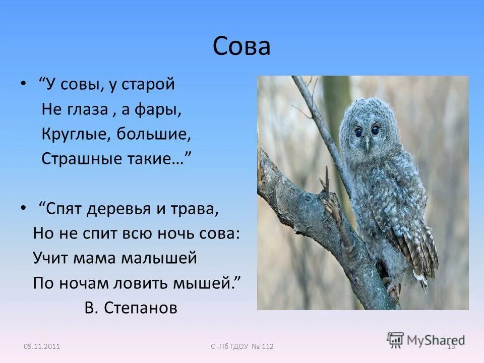 Что значит совы не спят. Загадка про сову. Стихи и загадки о сове. Стих про сову. Филин загадка для детей.