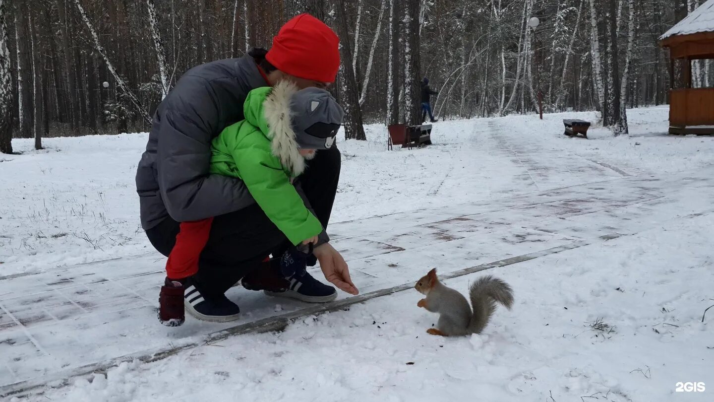 Грозненский дендрологический сад. Дендрологический парк сызрань. Красный путь 86 омск. Грин парк на красном пути омск. Дендрологический парк биробиджан.