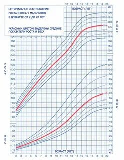 Рост головы 1 месяц