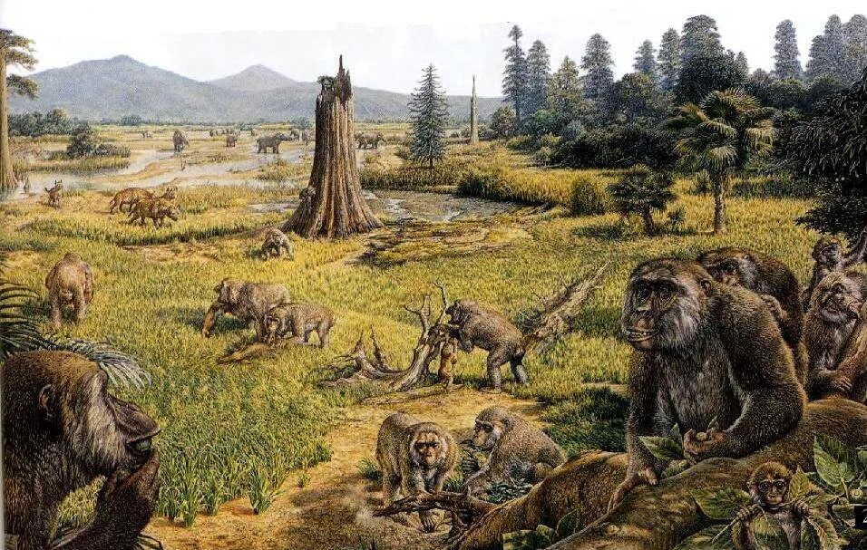 Кайнозойская эра палеогеновый период. Кайнозойская эра (67 млн. Кайнозойская эрапалеоцен. Кайнозой это. Палеоген эра.