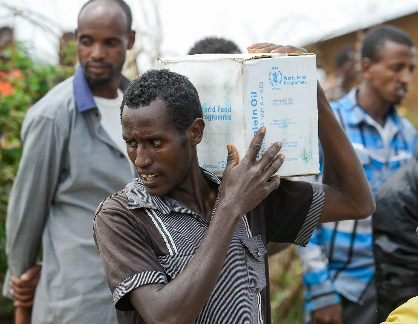 WFP: the World food programme. ООН WFP. Всемирная продовольственная программа ООН. ВПП ООН. The news programme by millions of people