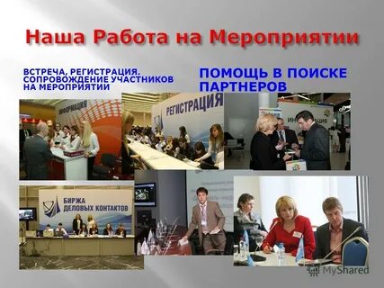 Организация 2013 года