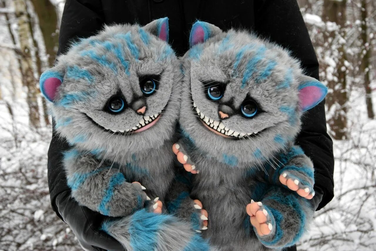 Котошивы