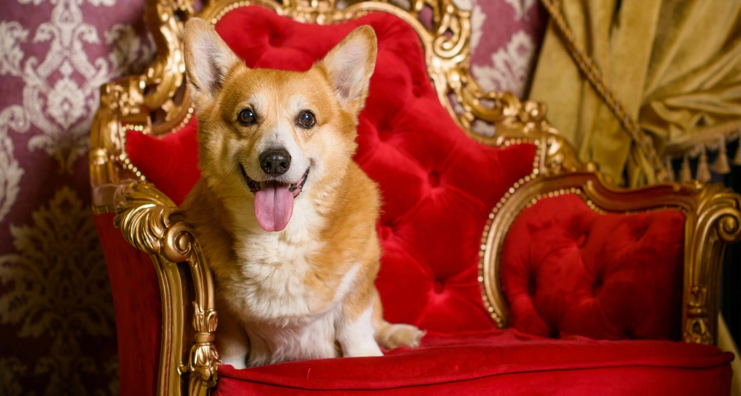 королевские животные