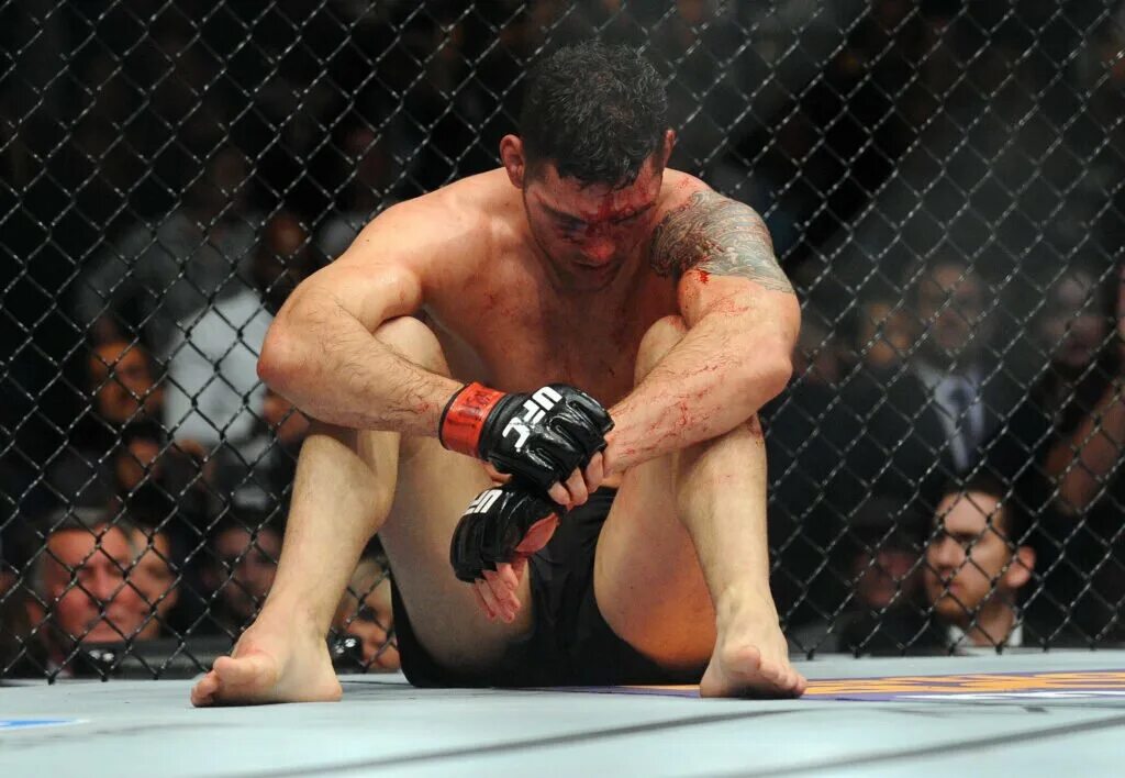 Ufc fight night: холлоуэй vs. George groves. Родригес. Брок леснар и пол хейман. Люк рокхолд боец.