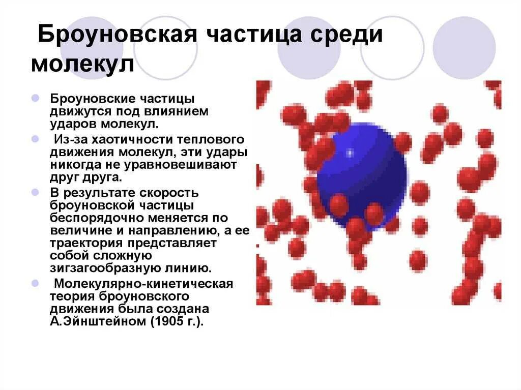 Частица двигается ответить. Основные положения молекулярно-кинетической теории. Броуновское движение диффузия. Что такое броуновская частица. Три основных положения молекулярно-кинетической теории.