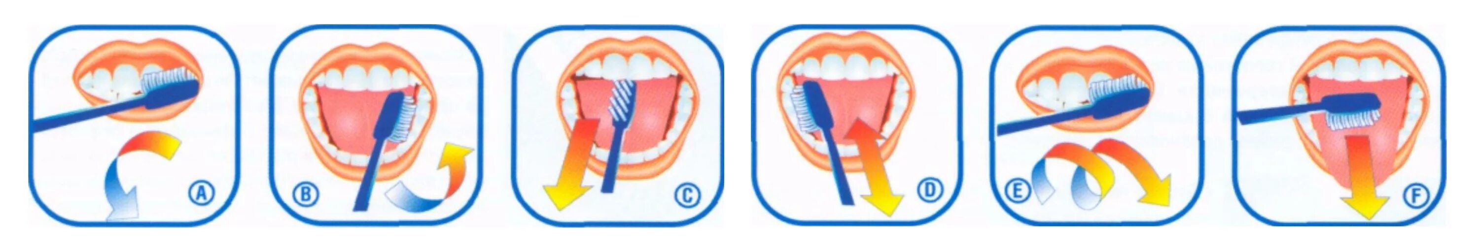 Схема правильной чистки зубов. Схема чистки зубов для детей. Схема чистки зубов для дошкольников. Схема как правильно чистить зубы. Можно греть зуб