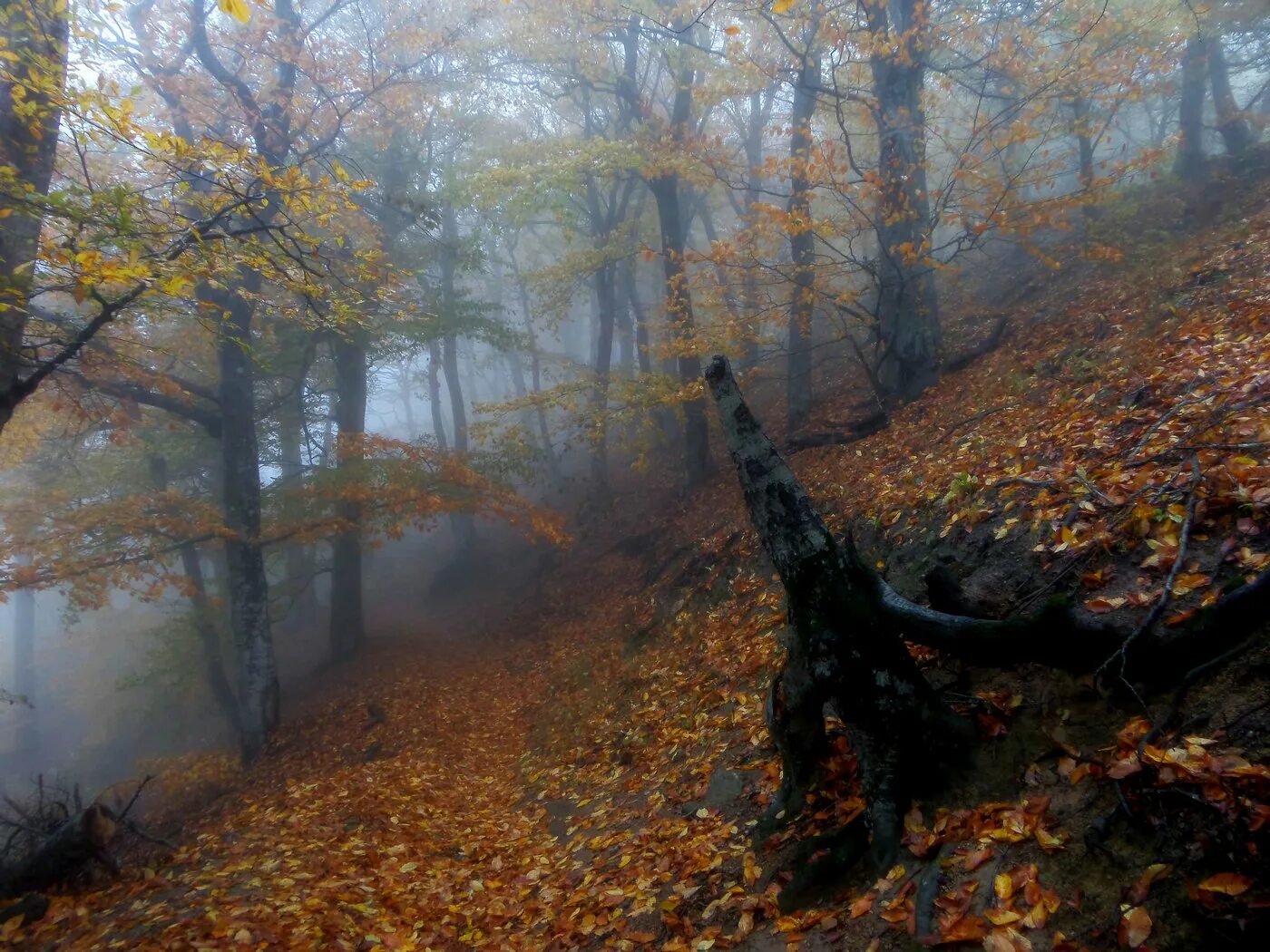 Железноводск октябрь. Железноводск осень. Железноводск осенью. Железноводск в октябре. Железноводск в октябре фото.