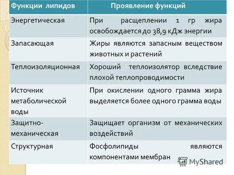 Липиды их строение и функции. Липиды выполняют функции. функции липидов кратко таблица. функциям жиров (липидов) в организме. биологические функции липидов таблица.