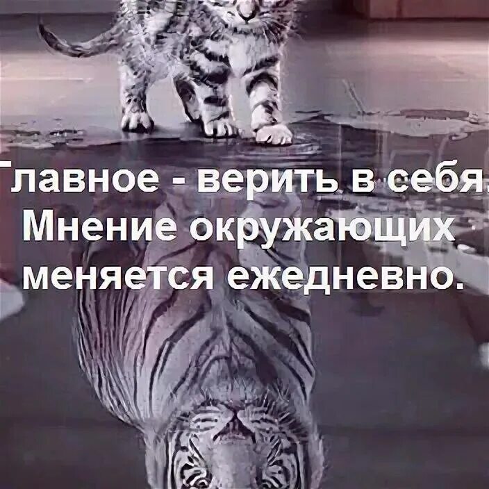 Верь в себя потому что. Главное верить в себя. Главное верить в себя мнение окружающих меняется. Самое главное верить в себя. Главное верь в себя мнение окружающих меняется ежедневно.