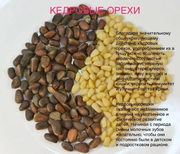 Топ самых полезных орехов. Кедровые орехи польза для женщин. 100 гр орехов. Калорийность орехов. Витамины кедровых орехов.