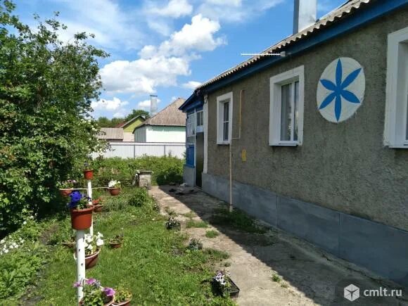 Погода верхняя луговатка