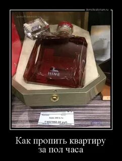 Пропил квартиру