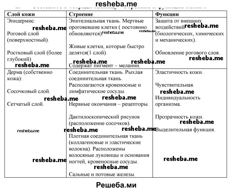 Функции кожи таблица 8 класс биология. Таблица по строению кожи биология 8. Таблица по биологии покровы тела строение и функции кожи. Таблица покровы тела строение и функции кожи 8. Покровы тела строение и функции кожи 8 класс таблица.