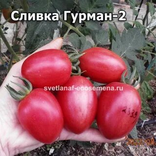 Сливка гурман