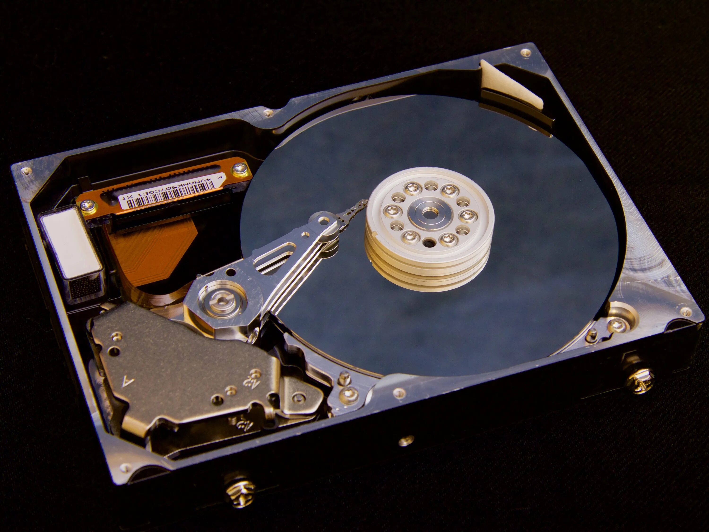 Disc read
