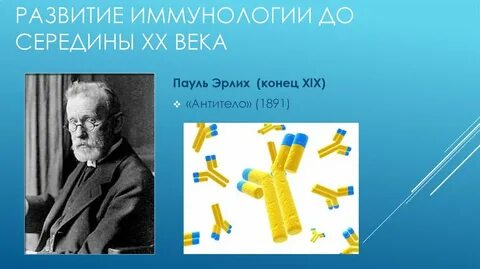 Развитие иммунологии