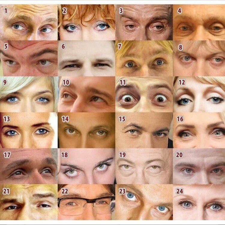 Шкала мартина-шульца. Цвет глаз. Chuck hazel цвет глаз. Как понять есть глазами. Как понять есть глазами.