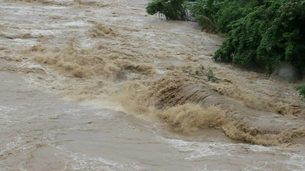 Грязная вода. Грязная вода приснилась. Вода река бурная грязная. Приснилась мутная вода