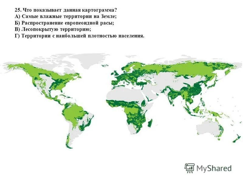 What happened in the world. Лесопокрытые территории мир. Spruce Forest World Map. Boreal Forest Map. Распределение леса Австралия.