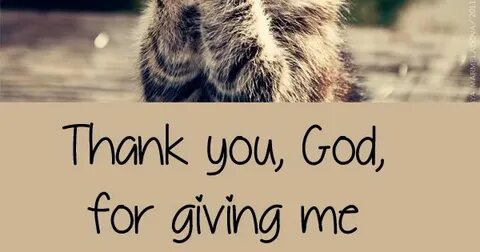 Thank you for the happiest