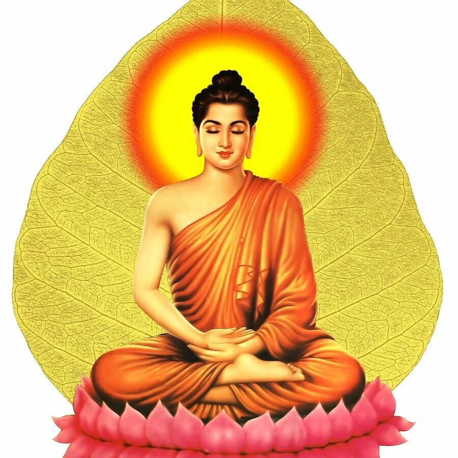 Международный день будды. Будда достиг просветления. Будда на белом фоне. Будда человек.