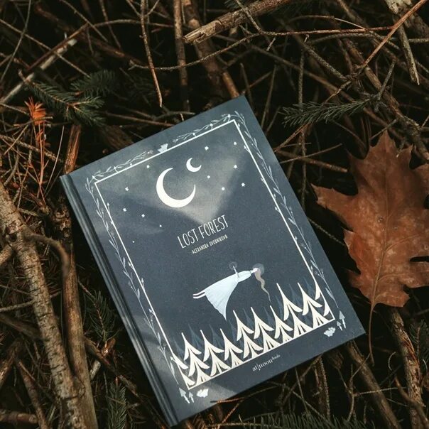 Книга the Forest. Сказки темного леса книга. Книги про лес и магию. Лост Форест.