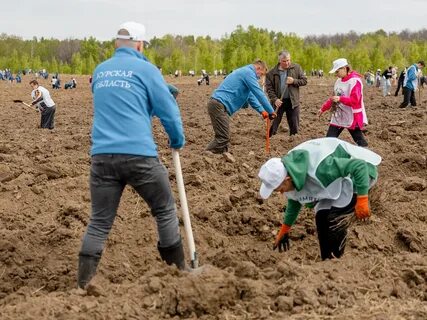 Российский посадка
