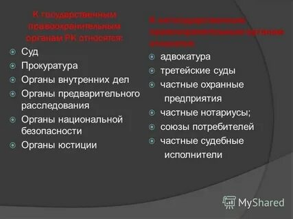 Правительство относится к правоохранительным органам