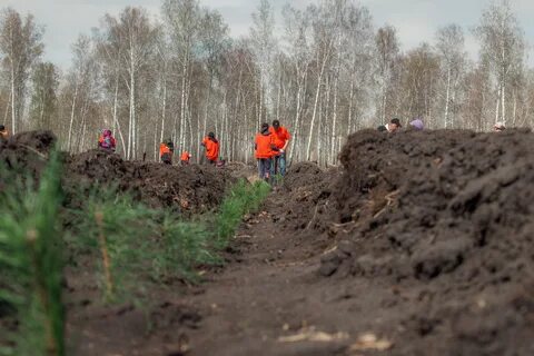 Урал посадили