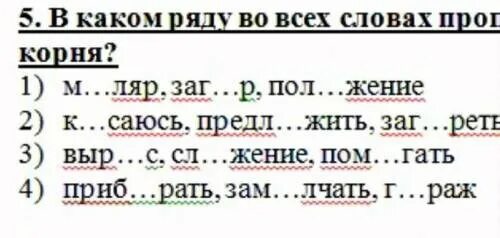 Примеры чередования звуков в корне слова Какие согласные чередуются в корне 15/48