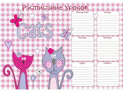 Расписание уроков 39