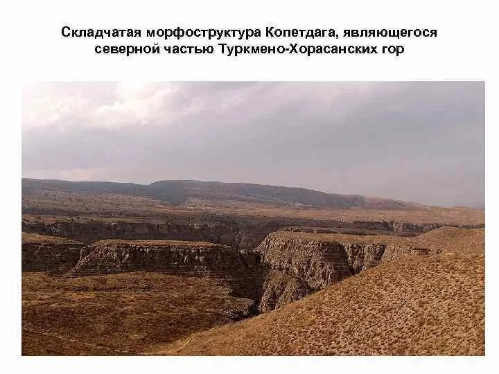 В рельефе выражены. В рельефе выражены