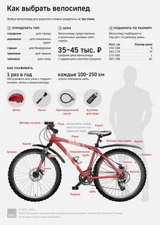 Как кататься на велосипеде безопасно и с пользой. Три совета врача