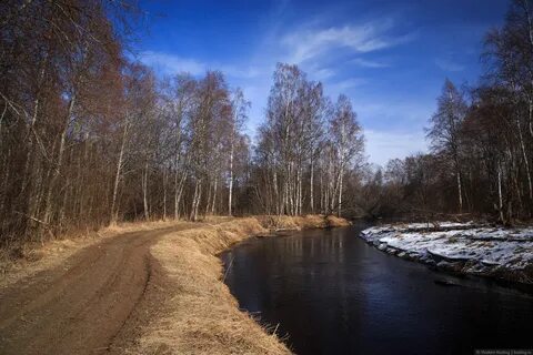 Апрель ленинградская
