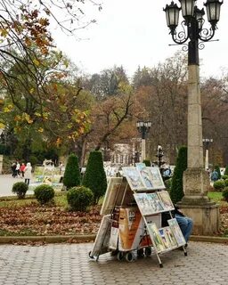 Кисловодск в июне отзывы
