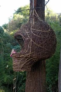 Lin in her tree house