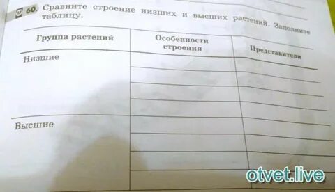 Сравните строение растений