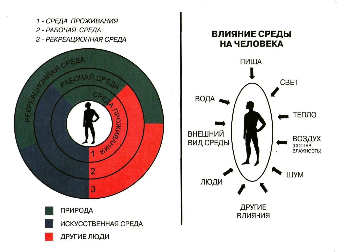 Плохое окружение влияние. Влияние окружения на личность. Влияние окружения на человека. Воздействие среды на человека. Окружение влияет на человека.