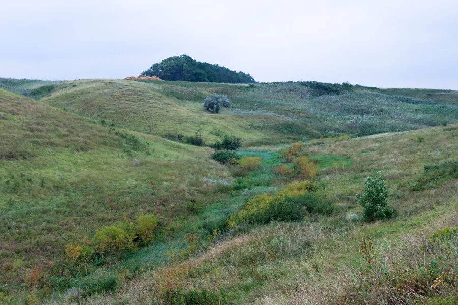 Фото: Балка. Фотограф Алексей Хохлачёв. Пейзаж. Фотосайт Расфокус.ру