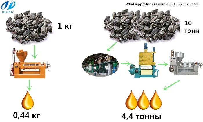 Сколько масла получается из 1 кг семечек подсолнуха. Сколько масла можно получить из 1 кг семечек подсолнуха. Выход подсолнечного масла из 1 кг семечек. Сколько масла получается из 1 тонны подсолнечника.