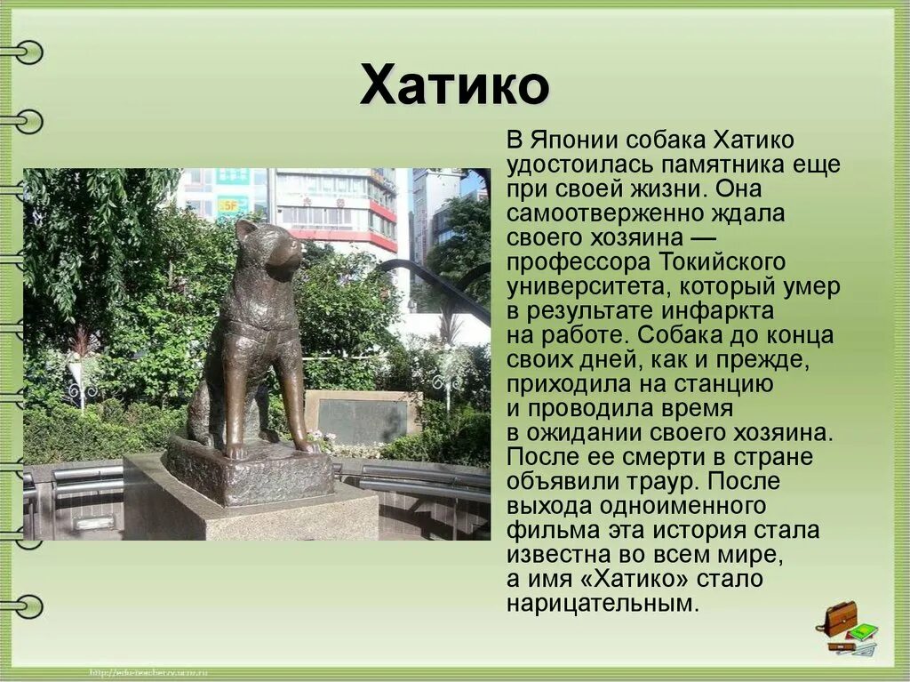 Хатико в каком городе. Хатико памятник Хатико история. Памятник собаке Хатико история. Статуя Хатико. Памятники собакам презентация.