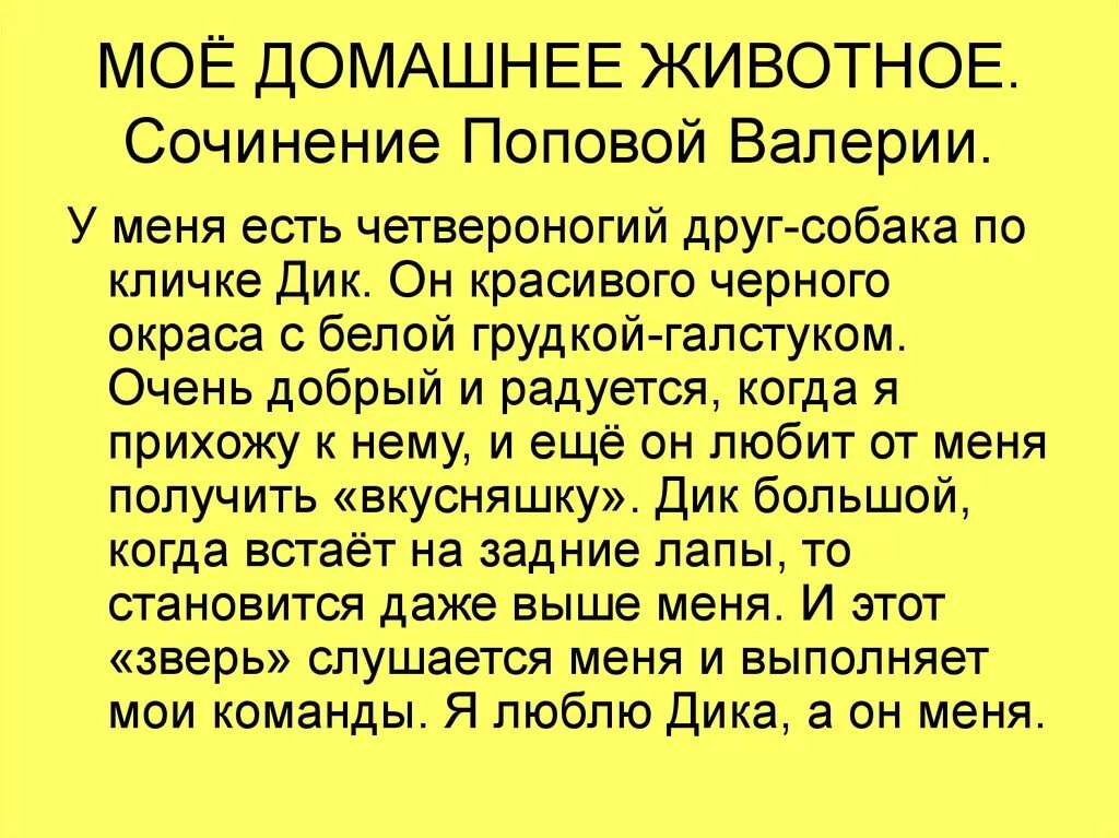 Сочинение про собаку. Сочинение моя любимая собака. Моё любимое животное собака сочинение 5. Сочинение про моего любимого животного. Сочинение про собаку 7 класс