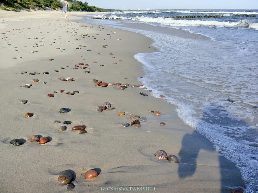Вода в море янтарный калининградская. Зеленоградск куршская коса. калининград пляж янтарный куршская коса. зеленоградск пляж куршская коса. балтийское море янтарный пляж калининград.